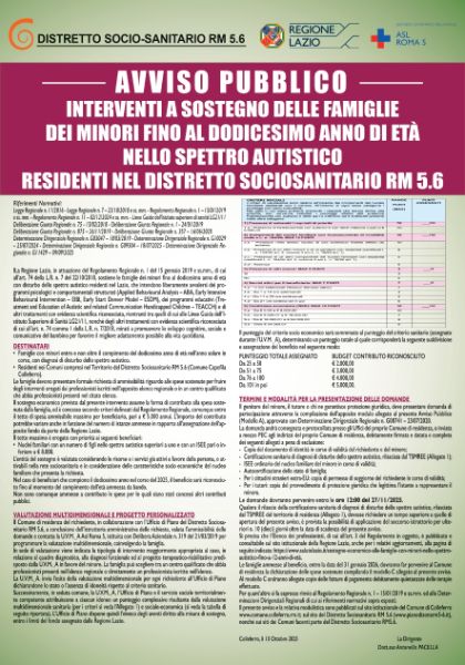 Interventi a sostegno delle famiglie dei minori fino al dodicesimo anno di età nello spettro autistico 